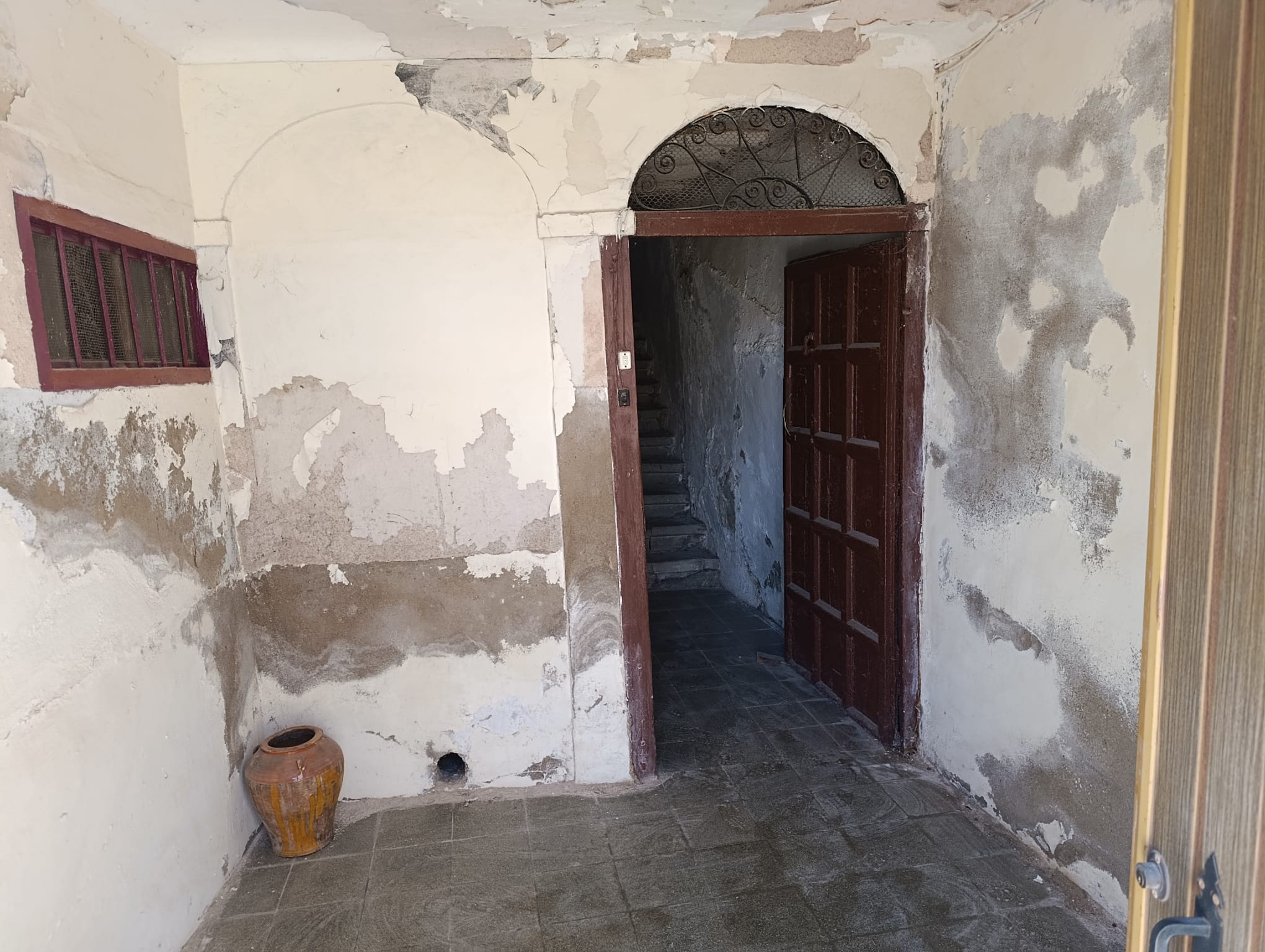 WhatsApp Image 2026-03-18 at 11.49.31 (2)