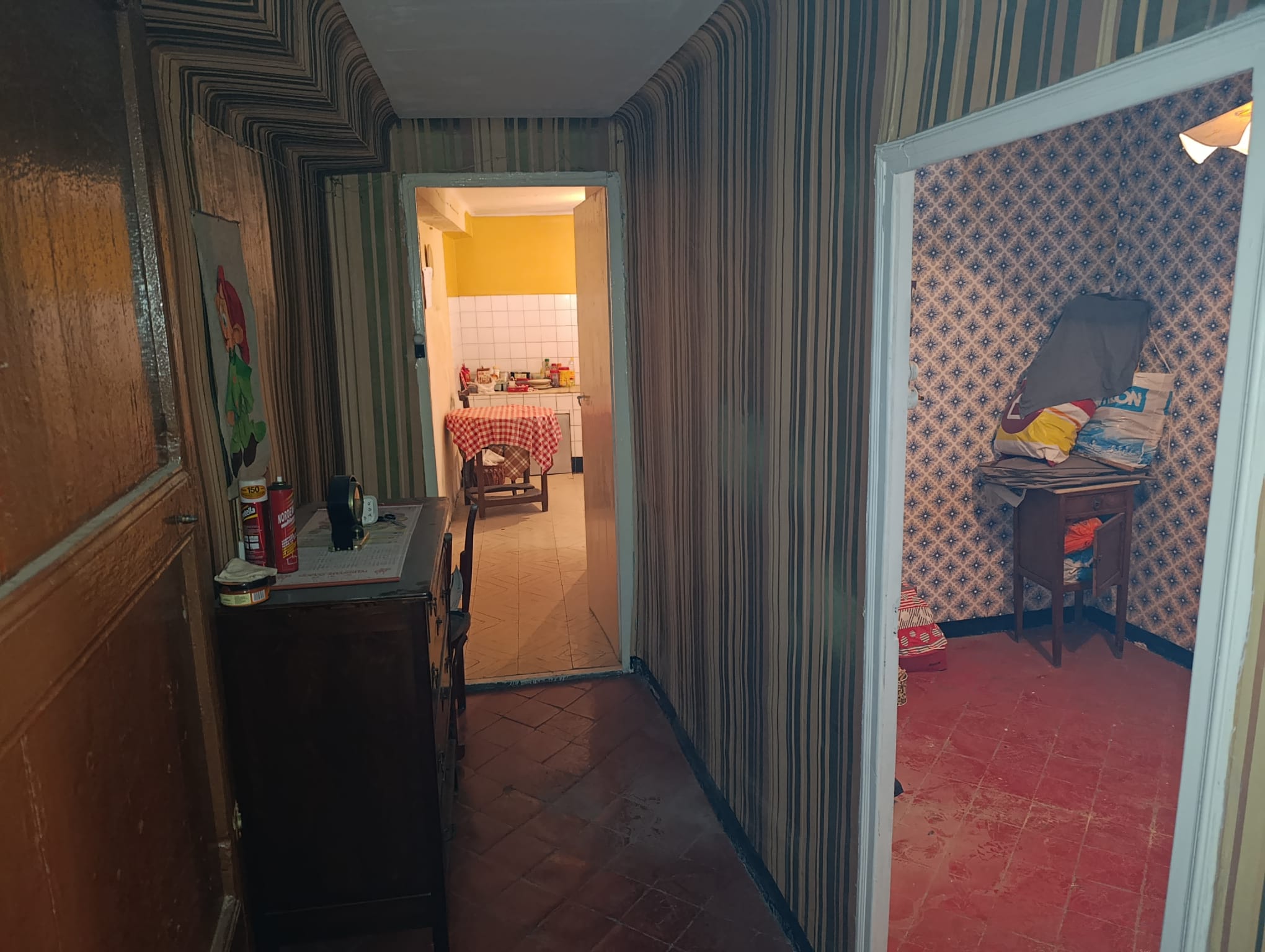 WhatsApp Image 2026-03-18 at 11.49.33