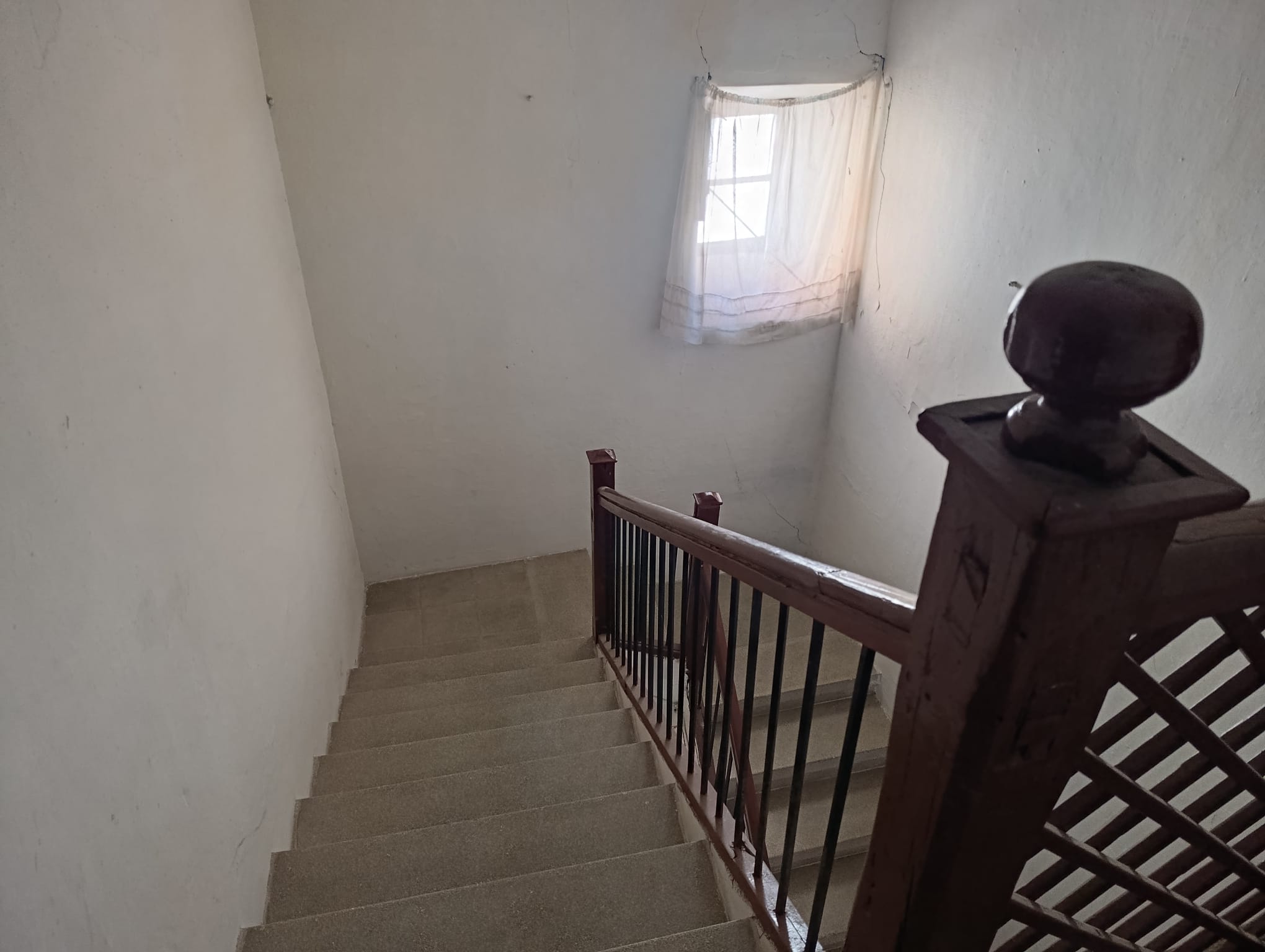 WhatsApp Image 2026-03-18 at 11.49.34 (1)